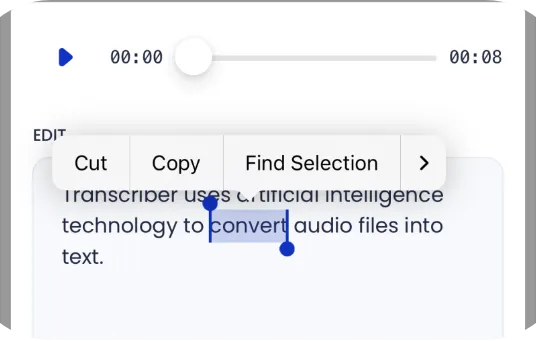 Editing a transcript using standard system text controls