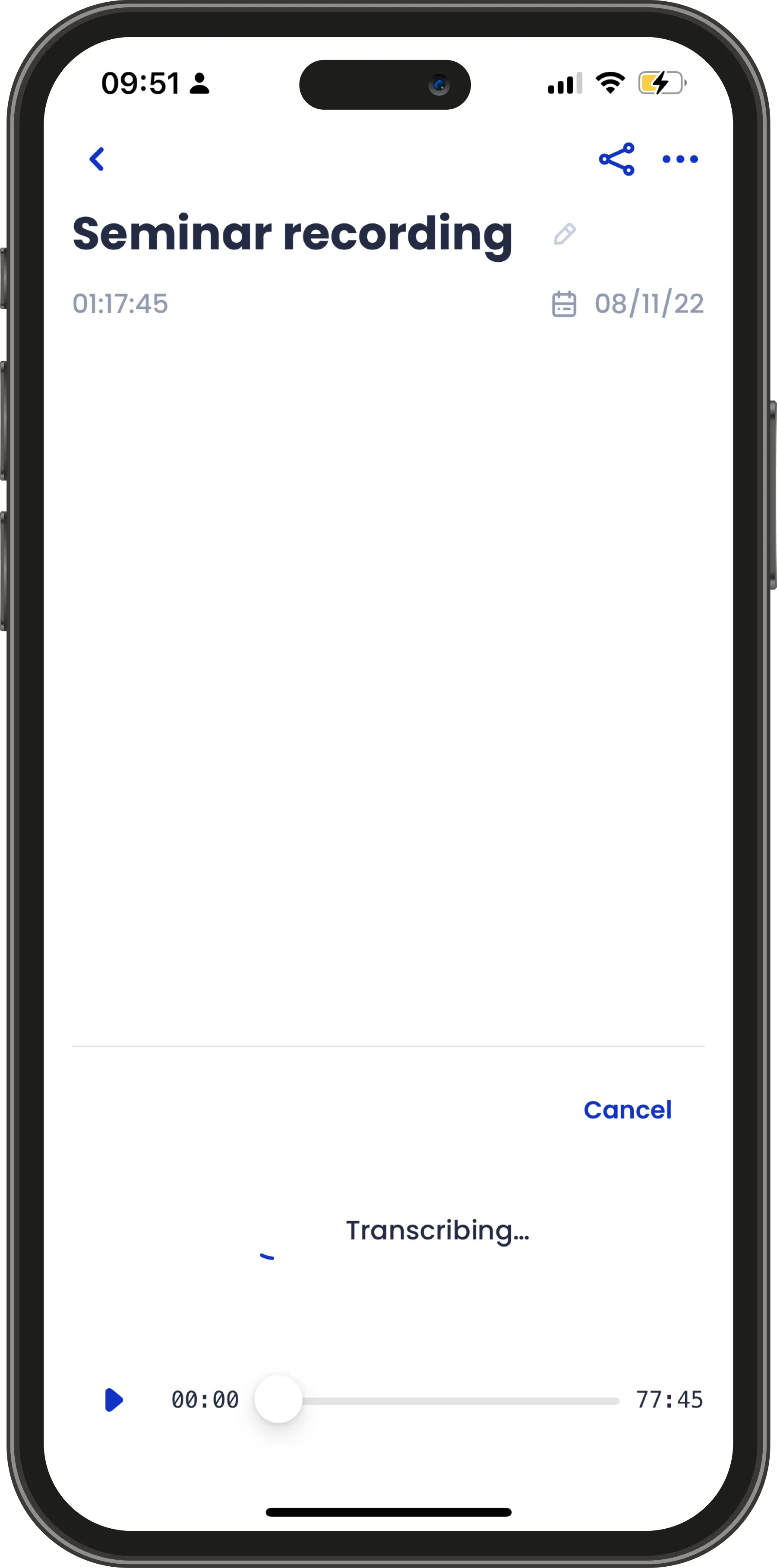 Several interviews transcribing at once in Transcriber